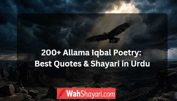 Allama Iqbal poetry Khudi Shaheen quotes — eagle soaring through storm clouds