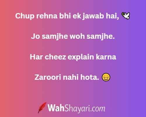 200+ Short Quotes for Bio – Best Hinglish Status Lines 2 A beautiful golden sunset setting representing the mood of mini shayari and short quotes for bio