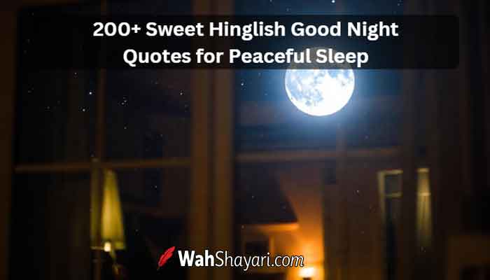 Good Night Hinglish quotes peaceful night image